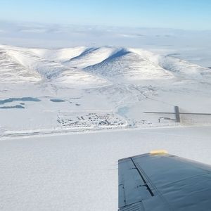 Meet your Posher, Molly